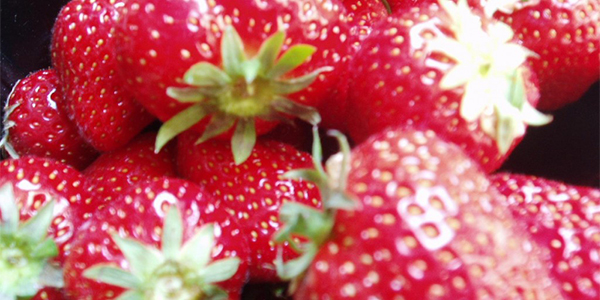 glutenvrij-recepten-aardbeien-bavaroise glutenvrij-recepten-aardbeien-bavaroise