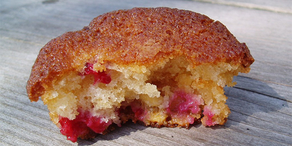 glutenvrij-recepten-muffins-met-wijnbessen-en-witte-chocolade glutenvrij-recepten-muffins-met-wijnbessen-en-witte-chocolade