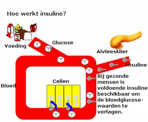insuline-2