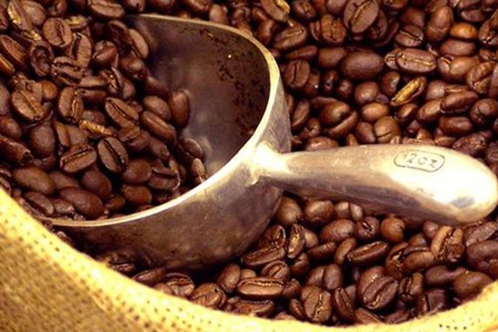 koffie foto koffie foto